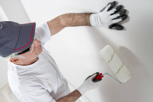 Best Environmental Consulting for Mold Prevention  in West Kennebunk, ME