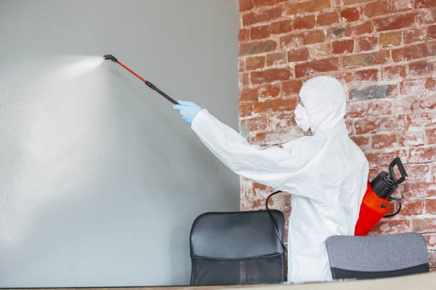 Best Mold Documentation for Insurance Claims  in West Kennebunk, ME