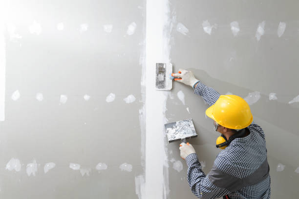 Best Commercial Mold Inspection  in West Kennebunk, ME