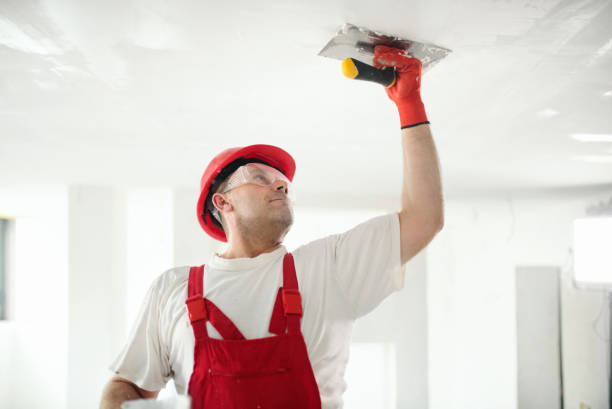 Best Mold Removal for HVAC Installations  in West Kennebunk, ME
