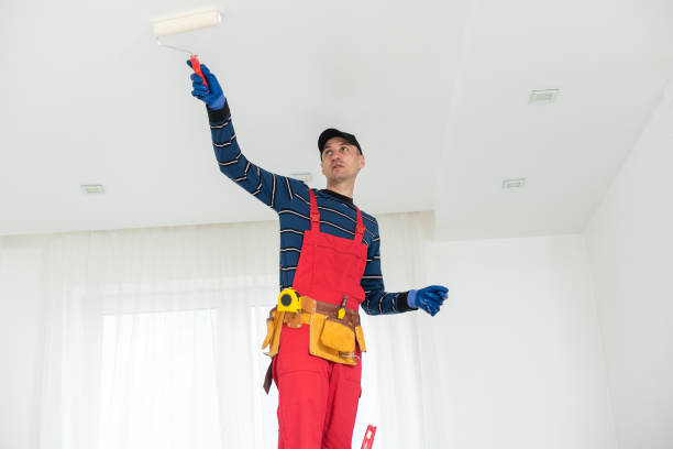 Professional Mold Removal in West Kennebunk, ME