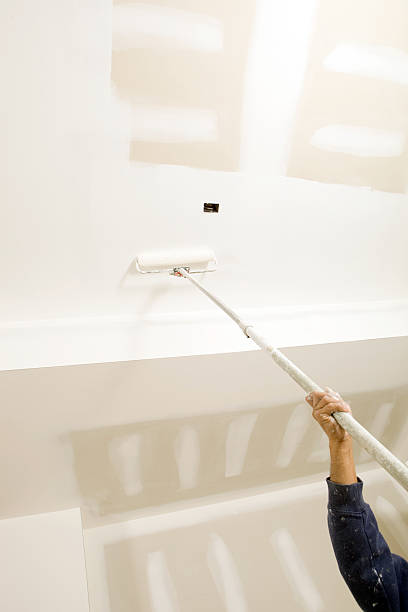 Best Black Mold Removal  in West Kennebunk, ME