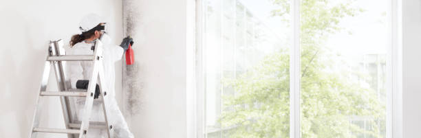 Best Forensic Mold Investigation  in West Kennebunk, ME
